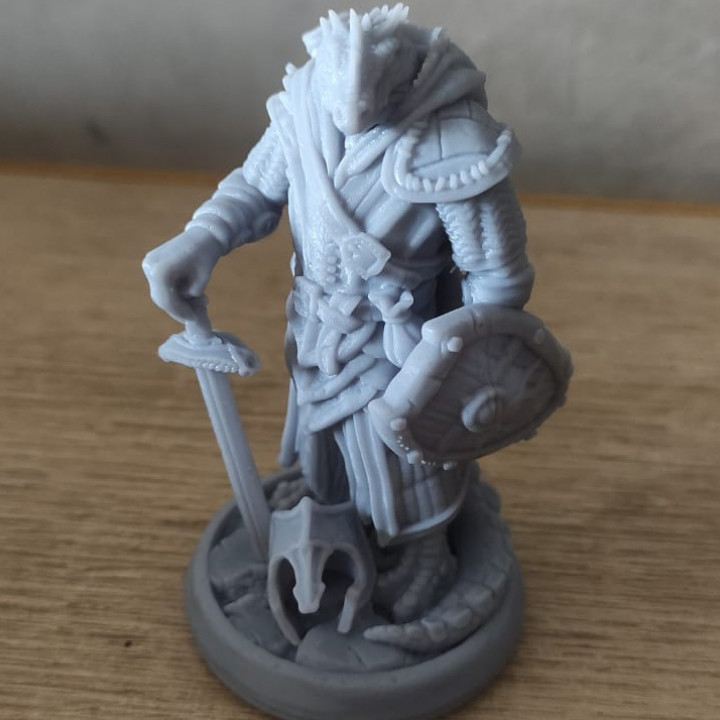 3D Printable LizardFolk Knight By CarbonCast