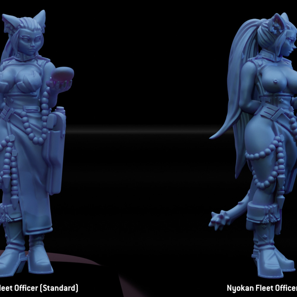 NyokanFleetOfficer