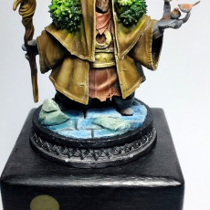 Picture of print of The Bog Druid
