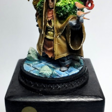 Picture of print of The Bog Druid