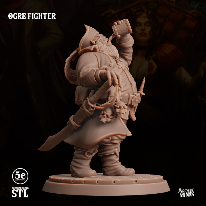 Ogre Fighter image