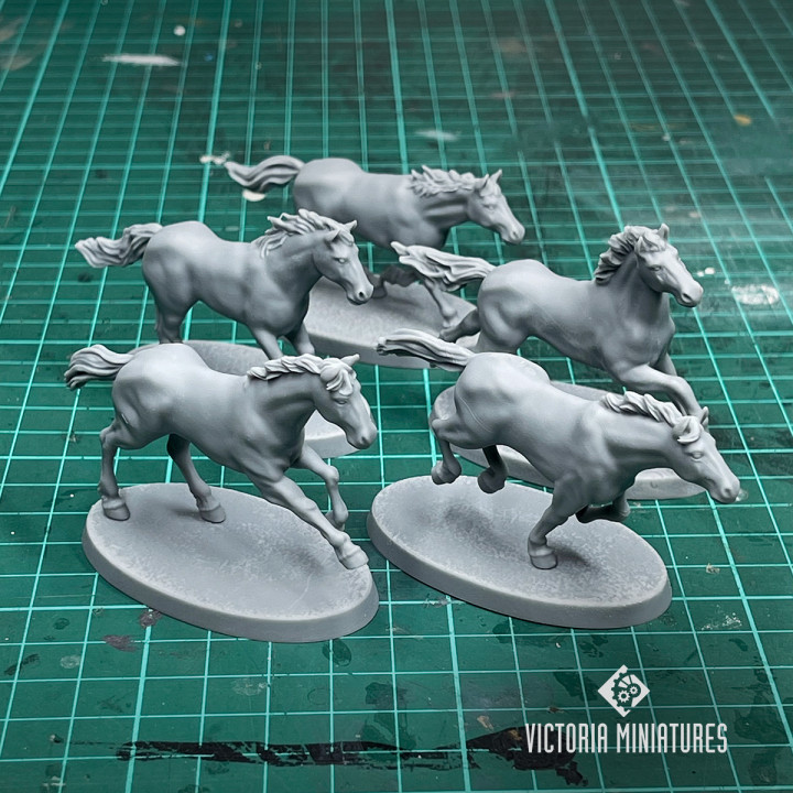Bare Horses x5 image