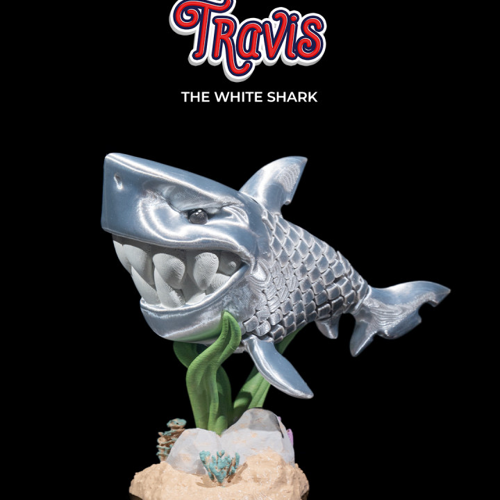 Travis, the White Shark image