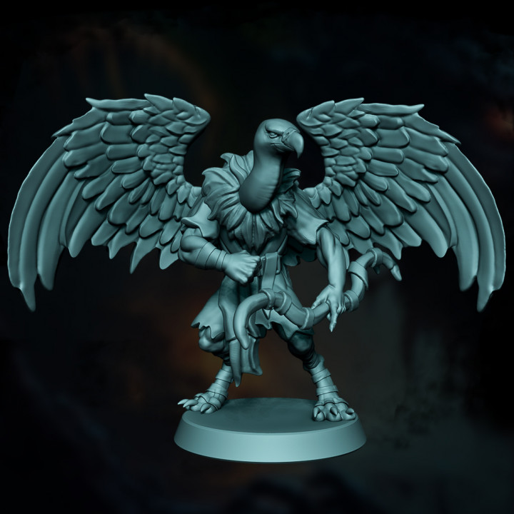Werevulture Dnd Monster image