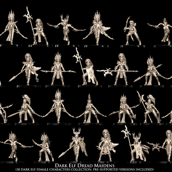 Dark Elf Dread Maidens (30 Dark Elves) image