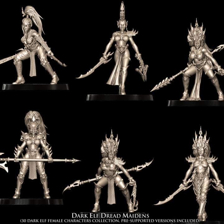 Dark Elf Dread Maidens (30 Dark Elves) image
