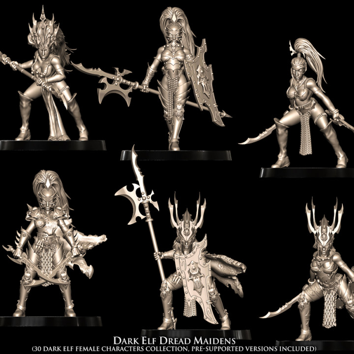 Dark Elf Dread Maidens (30 Dark Elves) image