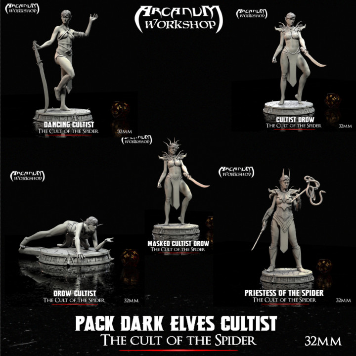 Pack dark elves of the Cult of the spider  32 mm image