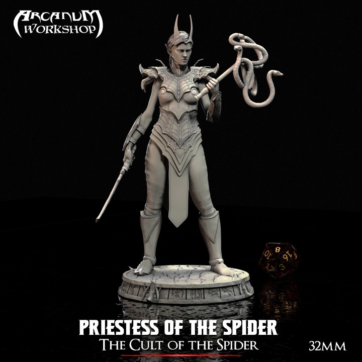 Pack dark elves of the Cult of the spider  32 mm image