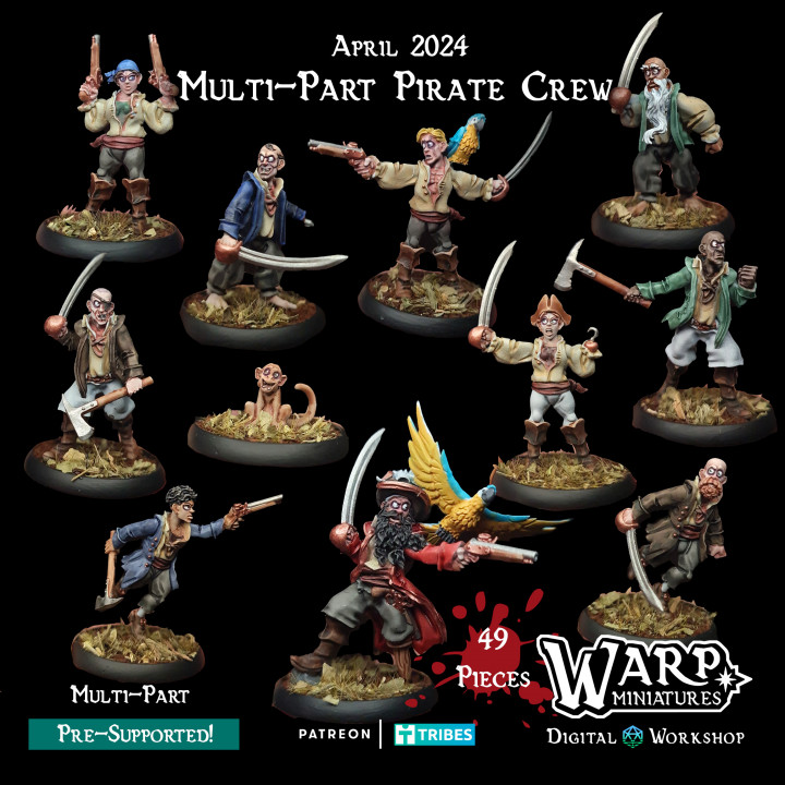 Multi-Part Pirate Kit image
