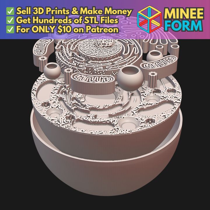 Animal Cell Educational Model with Removable Organelles MineeForm FDM 3D Print STL File