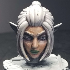 Picture of print of Space Elf Vanquisher Female Bundle