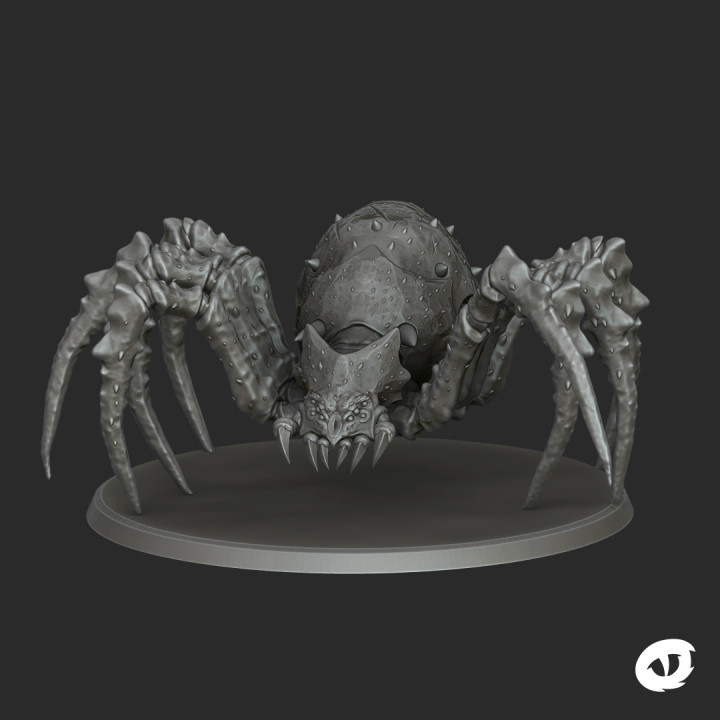 Giant Cave Spider