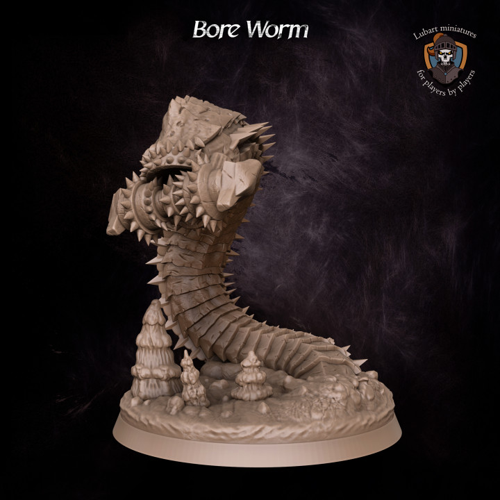 Bore Worm's Cover