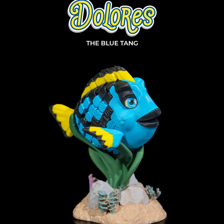 Dolores, the Blue Tang