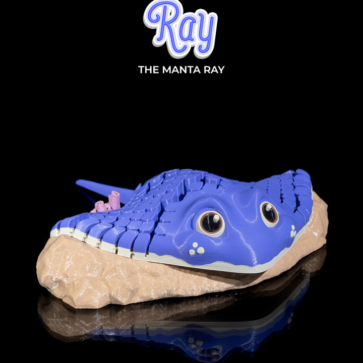 Ray, the Manta Ray