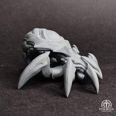Picture of print of Spider Psychohexer