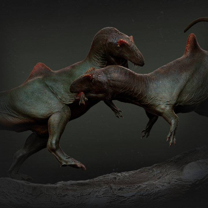 Concavenator fighting 1-35 scale pre-supported dinosaur image