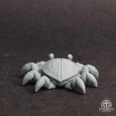 Picture of print of Crab Pinchy
