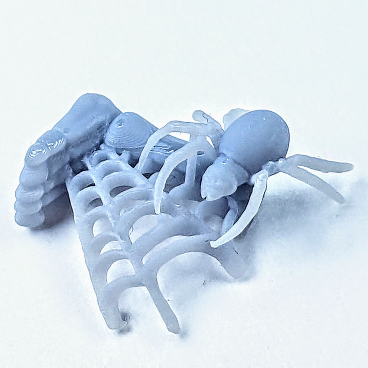 Base Scatter: Spider Webs image