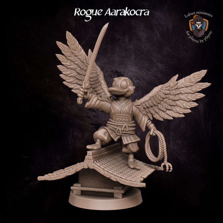 Rogue Aarakocra's Cover