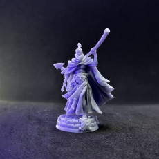 Picture of print of Unholy Priest