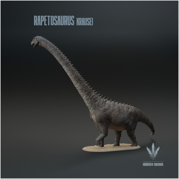 Rapetosaurus krausei : Walking image