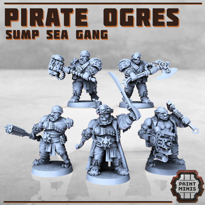 Male Pirate Ogres image