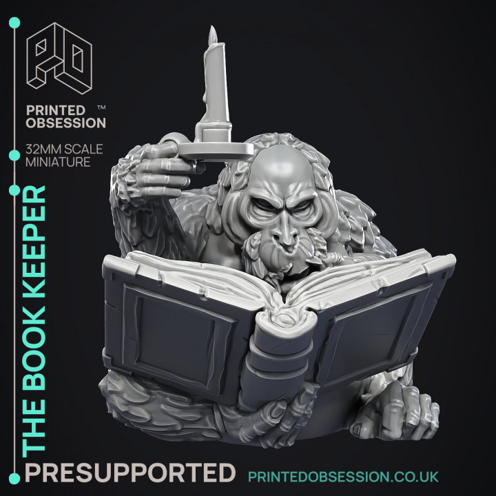 Book Keeper - NPC Libarian -  PRESUPPORTED - Illustrated and Stats - 32mm scale image