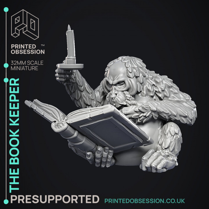 Book Keeper - NPC Libarian -  PRESUPPORTED - Illustrated and Stats - 32mm scale image