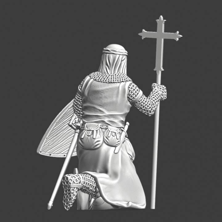 Kneeling Knight of the Lazarus Order - Leper Knights image