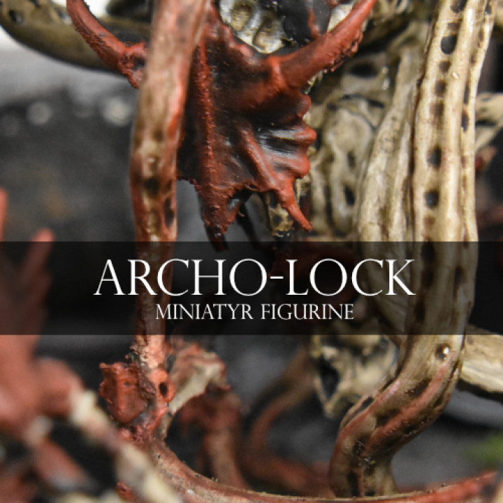 Archo-Lock image