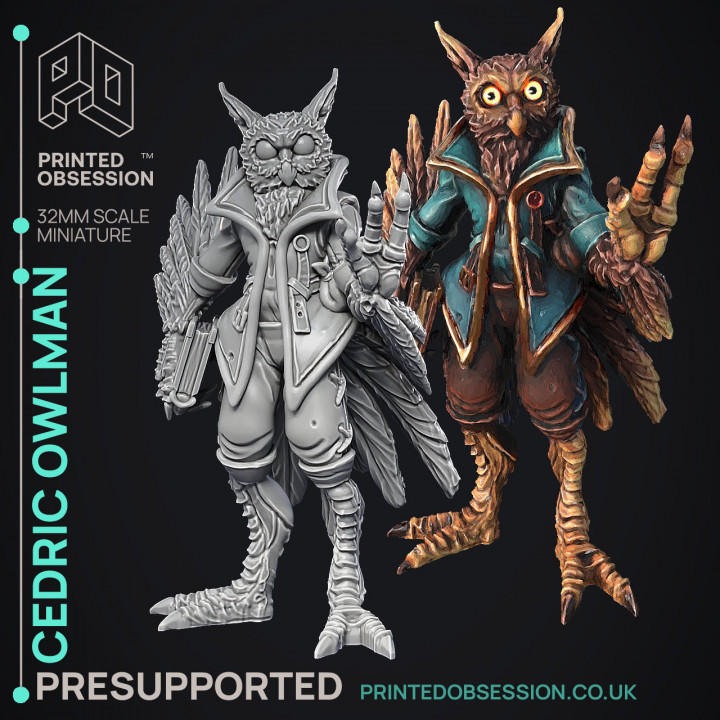Owlman - Frindly NPC - Cryptids of the Darkwoods -  PRESUPPORTED - Illustrated and Stats - 32mm scale image