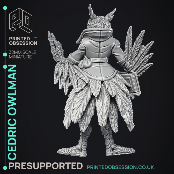 Owlman - Frindly NPC - Cryptids of the Darkwoods -  PRESUPPORTED - Illustrated and Stats - 32mm scale image