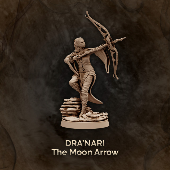 Dra’nari, the Moon Arrow - Arcane Archer