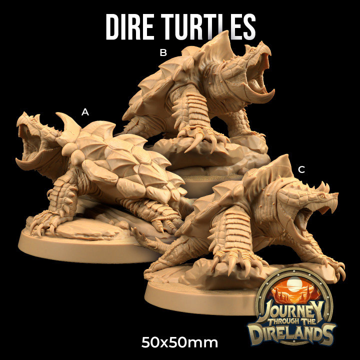 Dire Turtles | PRESUPPORTED | Journey Through The Direlands image