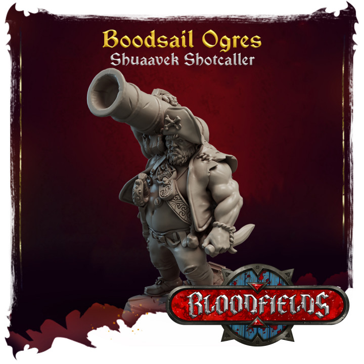 Bloodsail Ogres - Shuaavek Shotcaller image