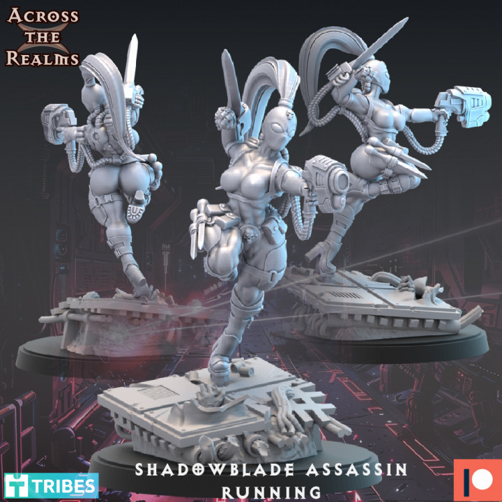 Shadowblade Assassin - Running image