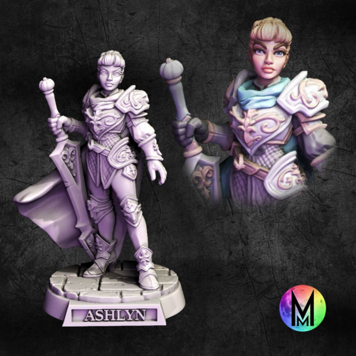 Female Paladin - Ashlyn the Paladin Knight ( Cinderella inspired human Female Paladin)