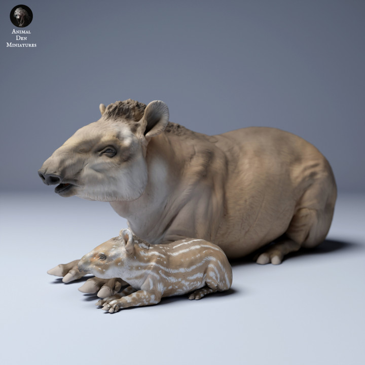 Brazilian tapir (Tapirus terrestris) Female and Calf Lying