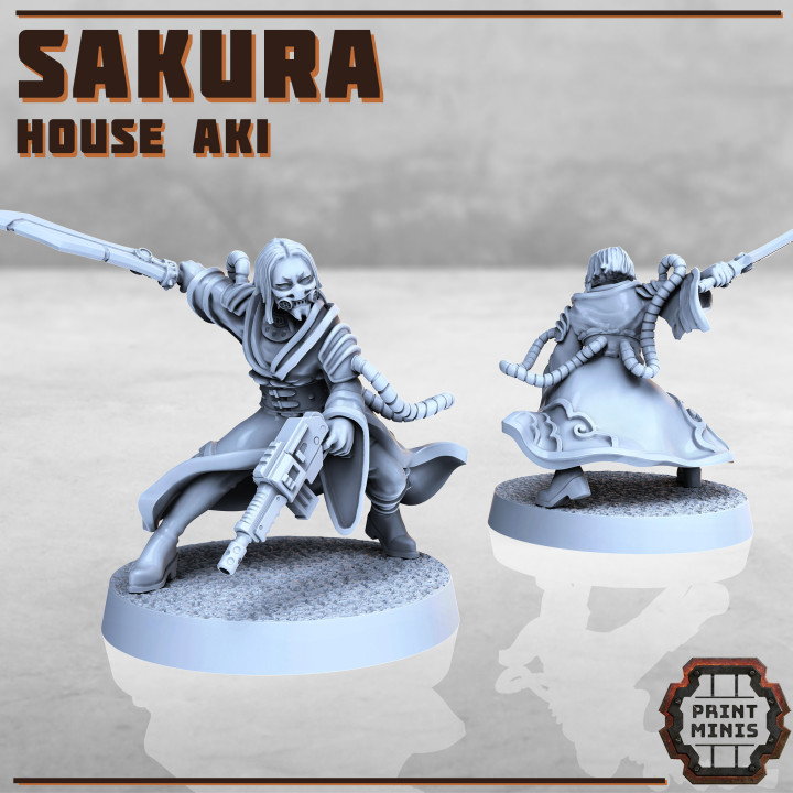 Sakura - House Aki image