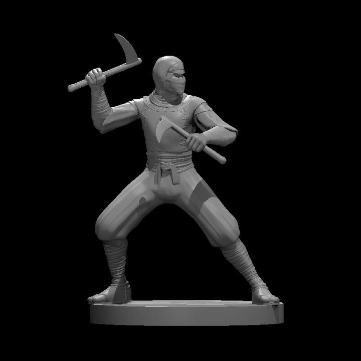 Ninja (Shinobi) minis image