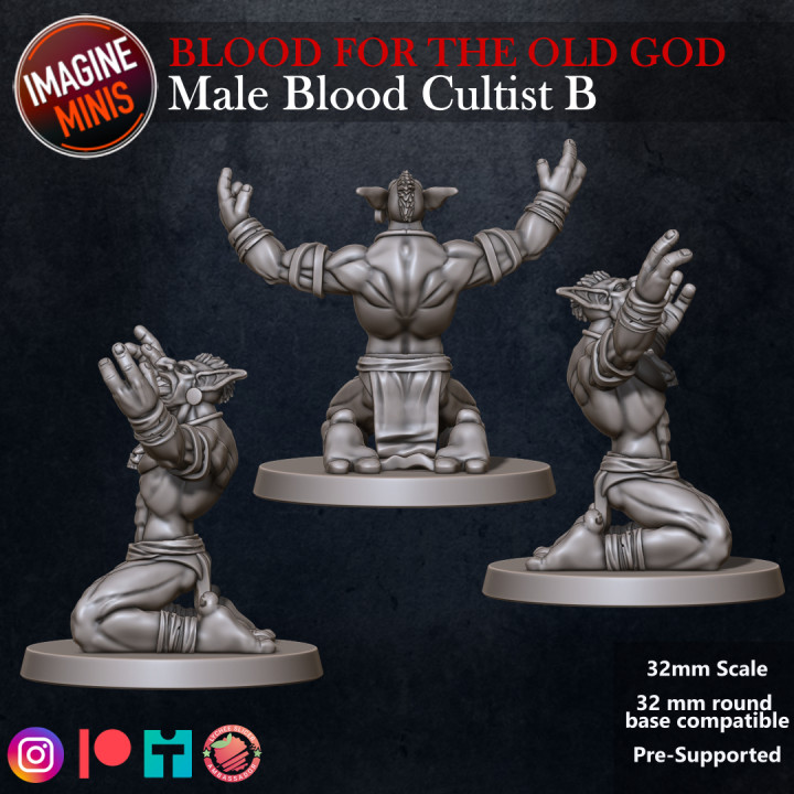 Blood For The Old God - Male Blood Cultist B image