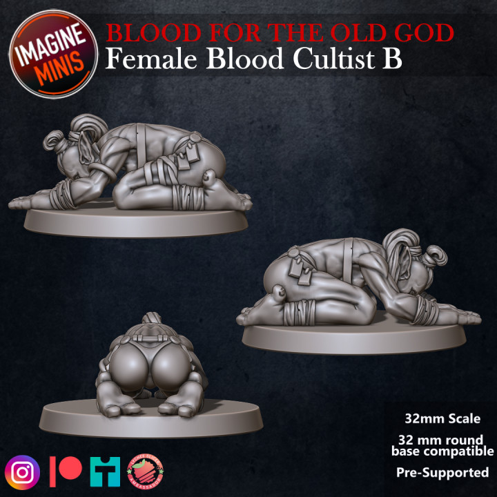 Blood For The Old God - Female Blood Cultist B image