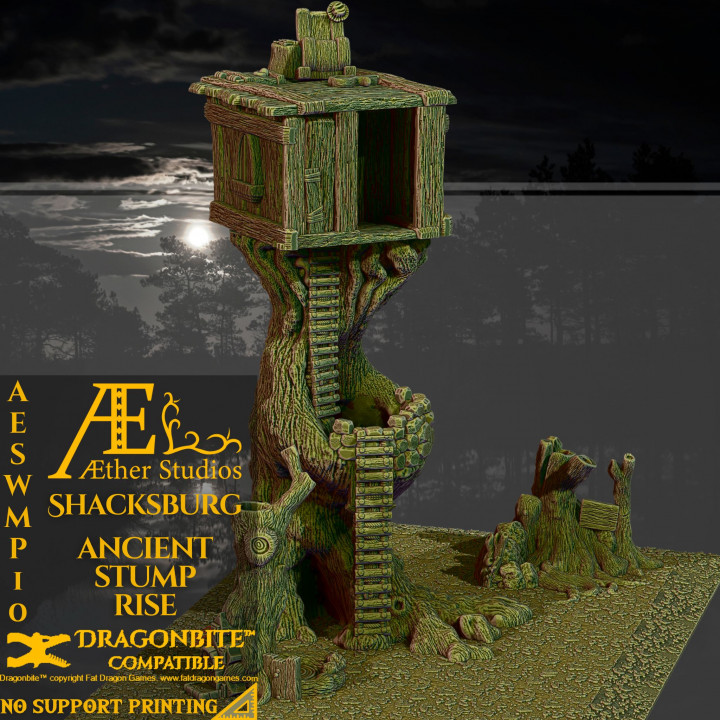 AESWMP10 – Shacksburg Ancient Stump Rise