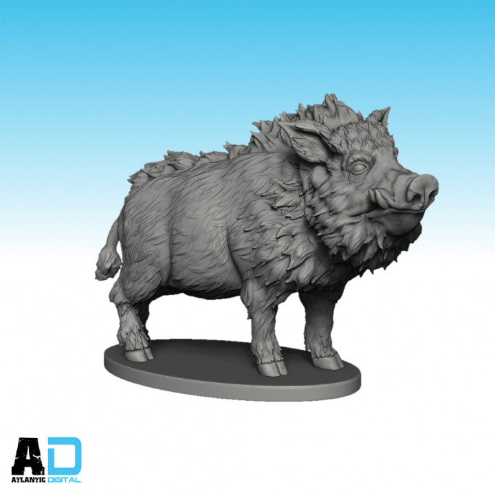General Accoutrements European Wild Boar image