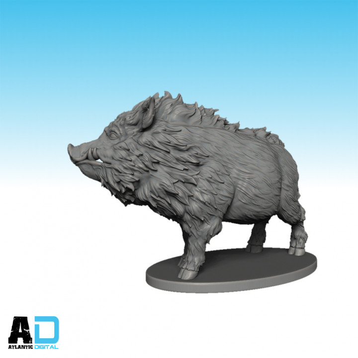 General Accoutrements European Wild Boar image