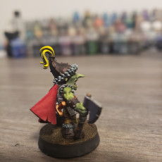 Picture of print of Steppe Goblin Hero - Highlands Miniatures