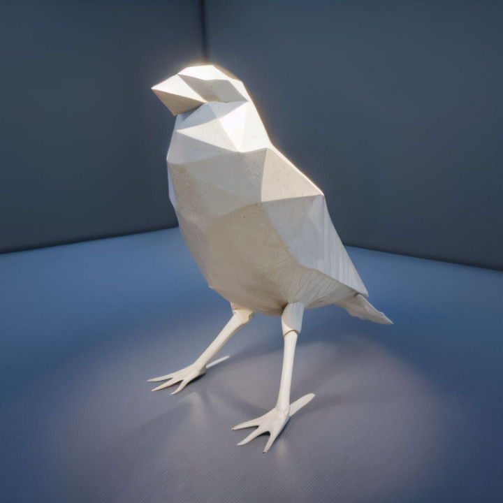 Poligon Bird image