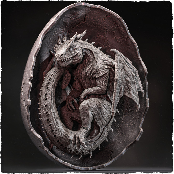 Baby Dragon image